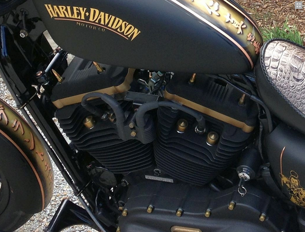 DK Custom Ignition Relocation Sportster Nightster 48 Iron